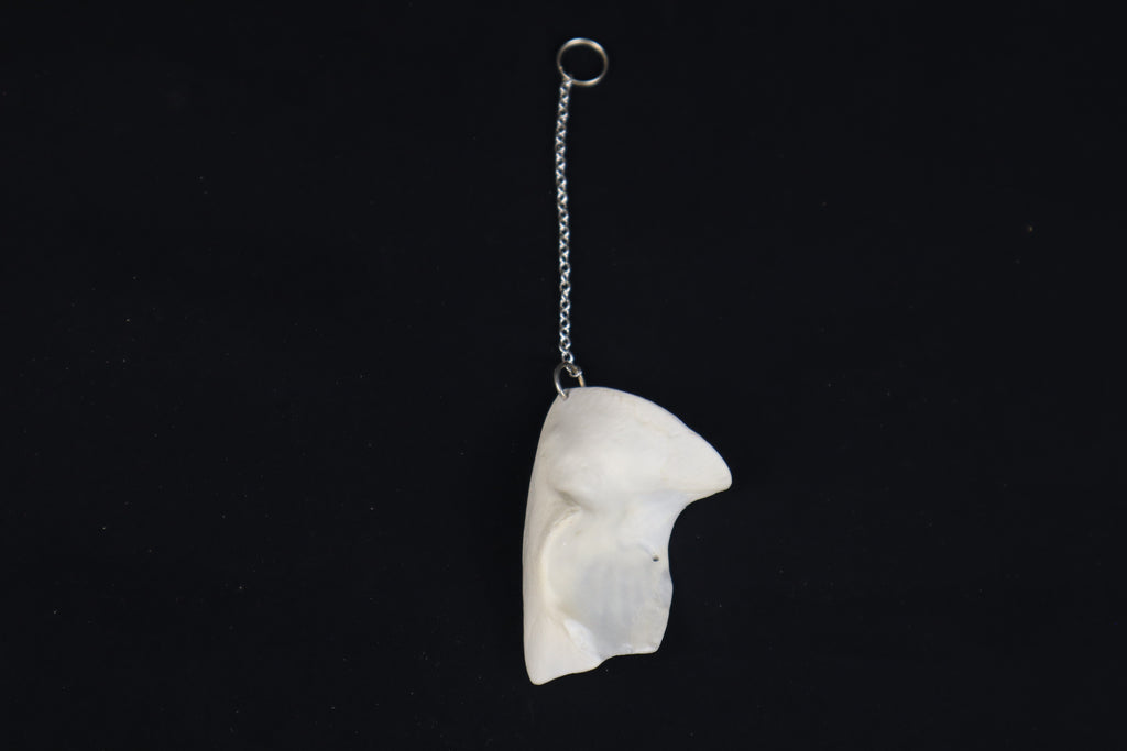 Coyote Skull Fragment Charm/Keychain