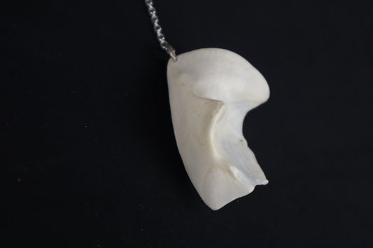Coyote Skull Fragment Charm/Keychain