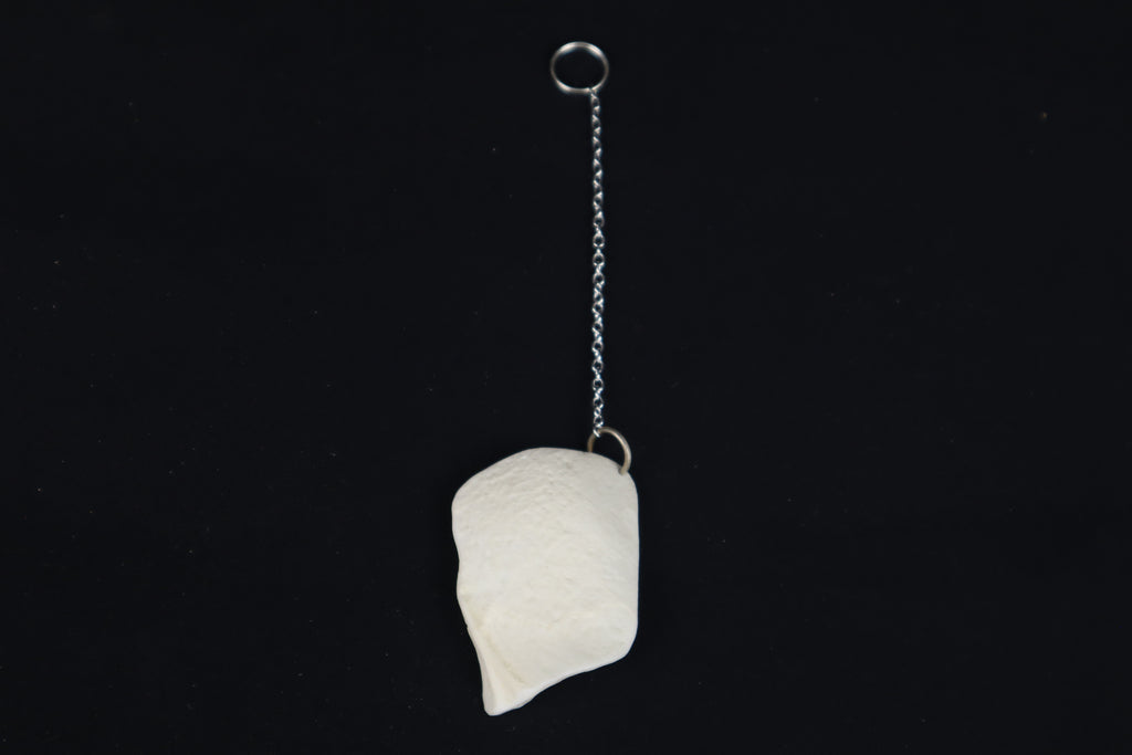 Coyote Skull Fragment Charm/Keychain
