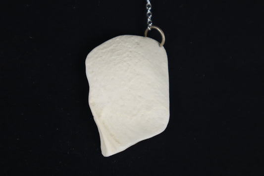 Coyote Skull Fragment Charm/Keychain