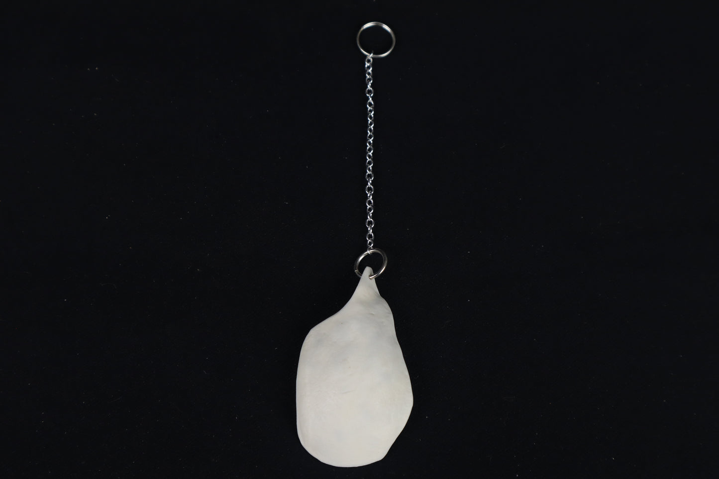 Raccoon Skull Fragment Charm/Keychain