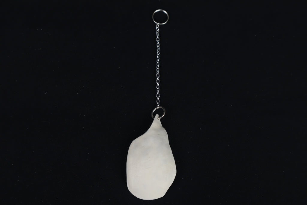 Raccoon Skull Fragment Charm/Keychain