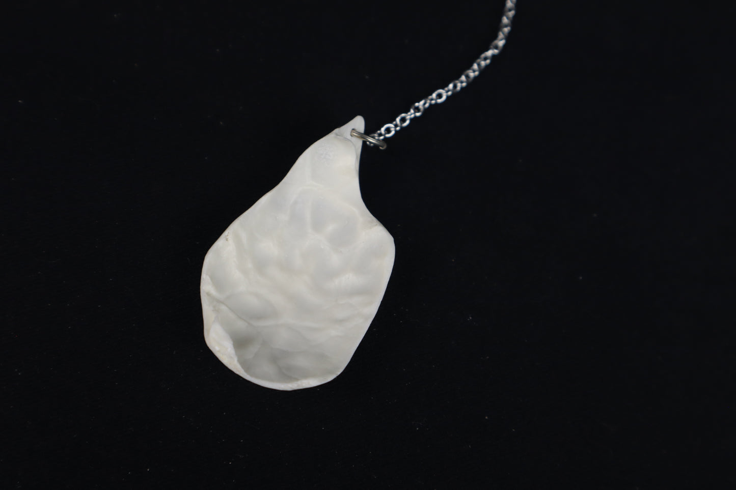 Raccoon Skull Fragment Charm/Keychain