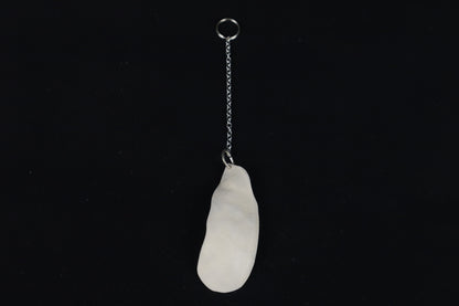 Raccoon Skull Fragment Charm/Keychain