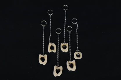 Whitetail Deer Tibia Slice Charm/Keychain