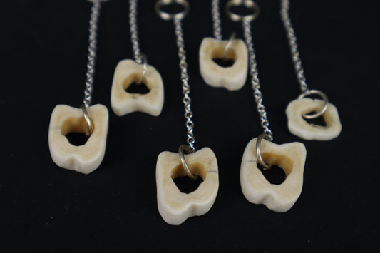 Whitetail Deer Tibia Slice Charm/Keychain
