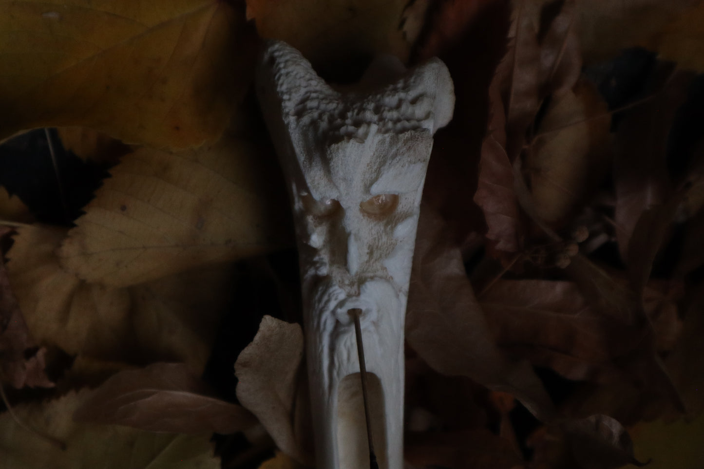 Forest Spirit Elk Bone Incense Burner