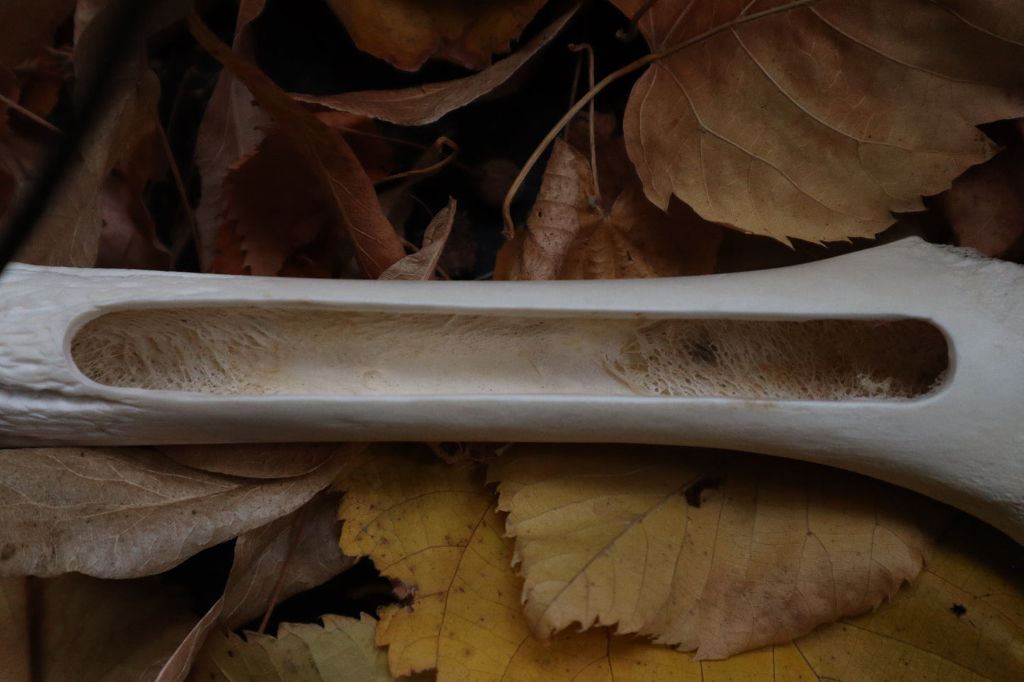 Forest Spirit Elk Bone Incense Burner