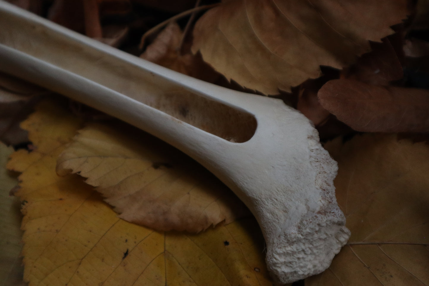 Forest Spirit Elk Bone Incense Burner