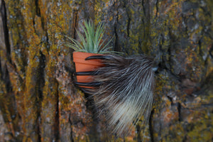 Porcupine Hand Planter with Air Plant