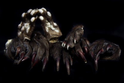 Mink Paws