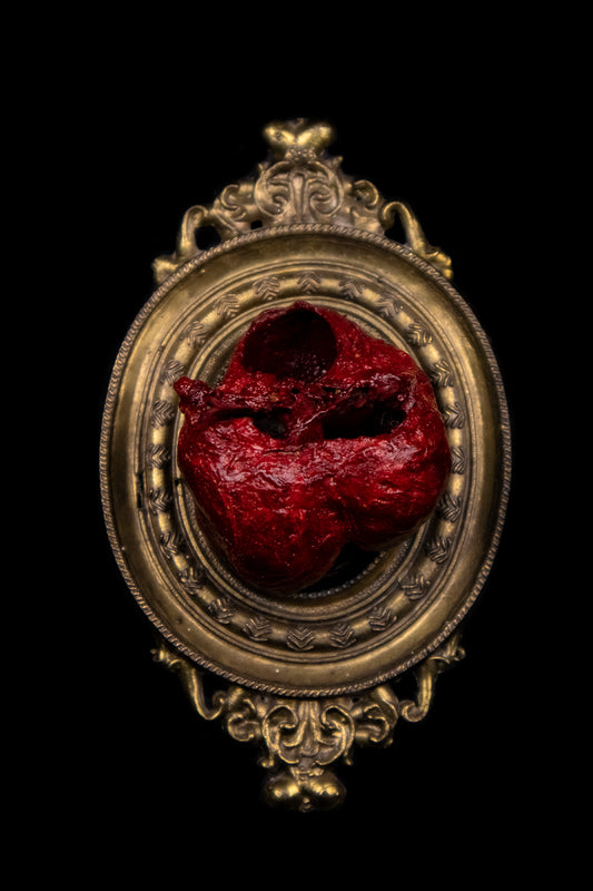 Dry Preserved Bobcat Heart in Antique Frame