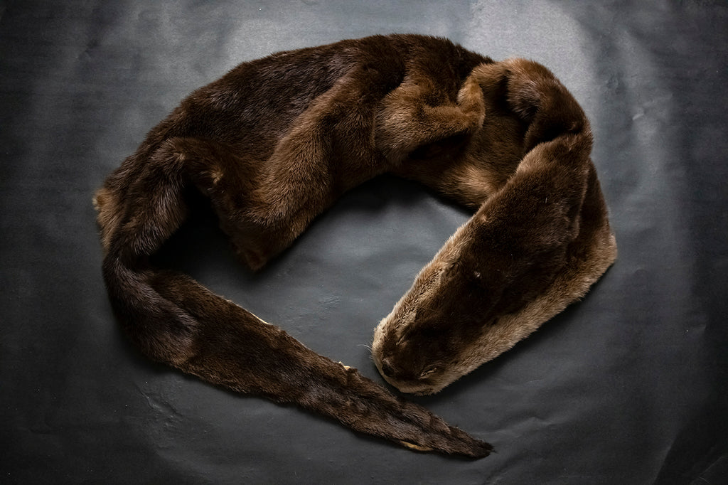 River Otter Wall Hanger