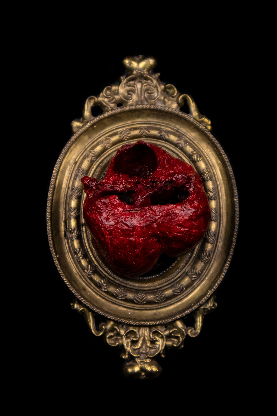 Dry Preserved Bobcat Heart in Antique Frame
