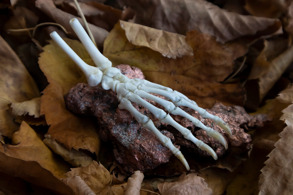 Opossum Paw Articulation with Native Copper Base