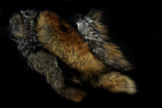 Fox Tail