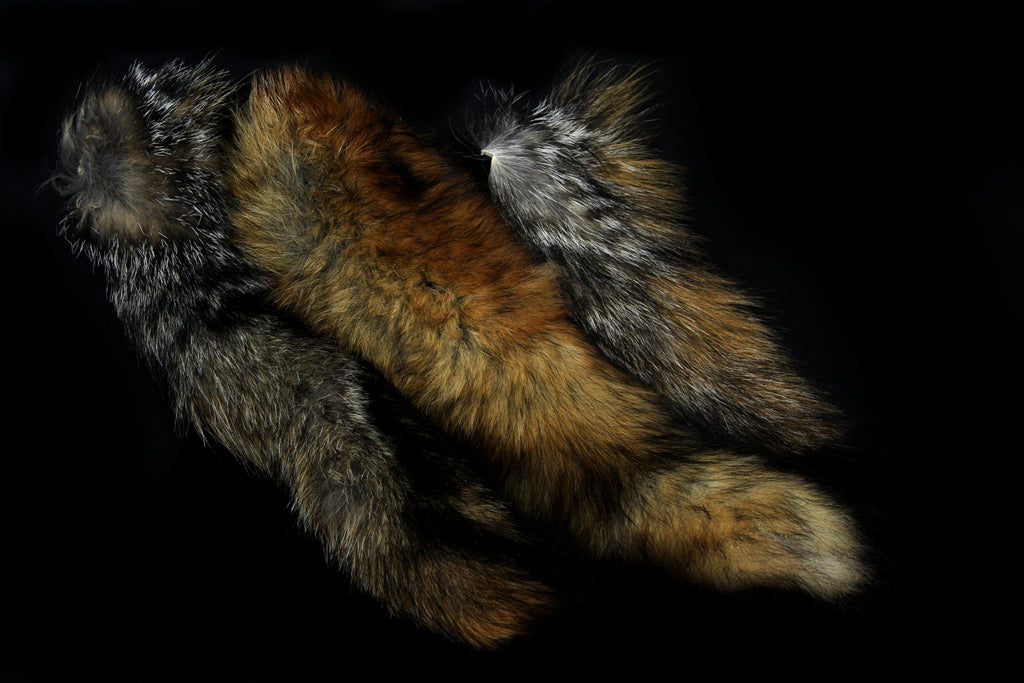 Fox Tail