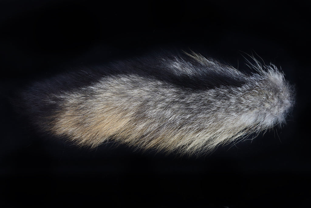 Gray Fox Tail