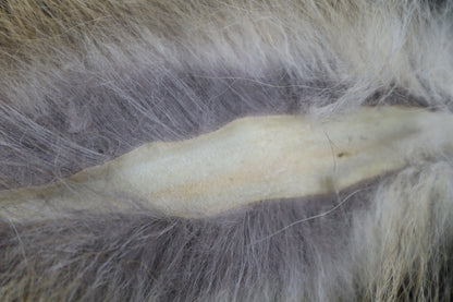Gray Fox Tail