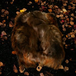 Beaver Pelt