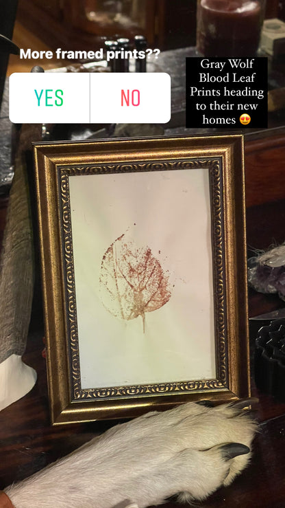 Reserved for Arianna - Gray Wolf Blood Bass Wood Leaf Print