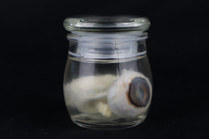 Reserved for Fabled Oddities  -  Wet Specimen Gray Wolf Eyeballs