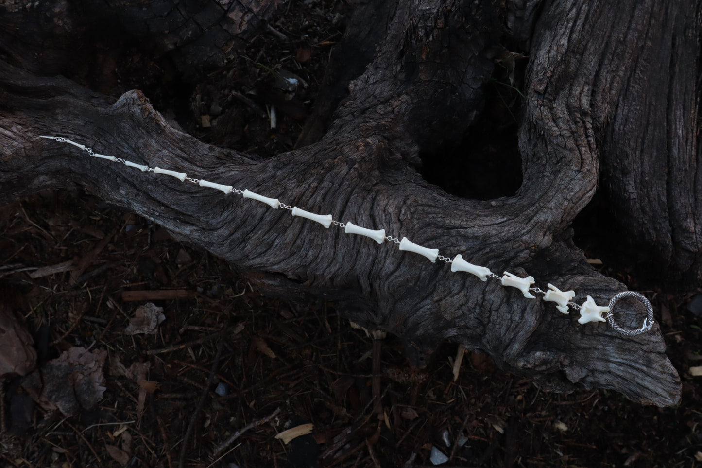 Fluid Coyote Tail Articulation with Ouroboros Ring