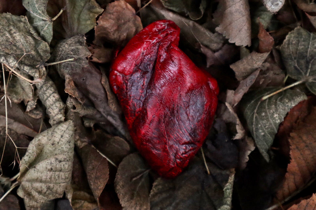 Dry Preserved Lamb Heart