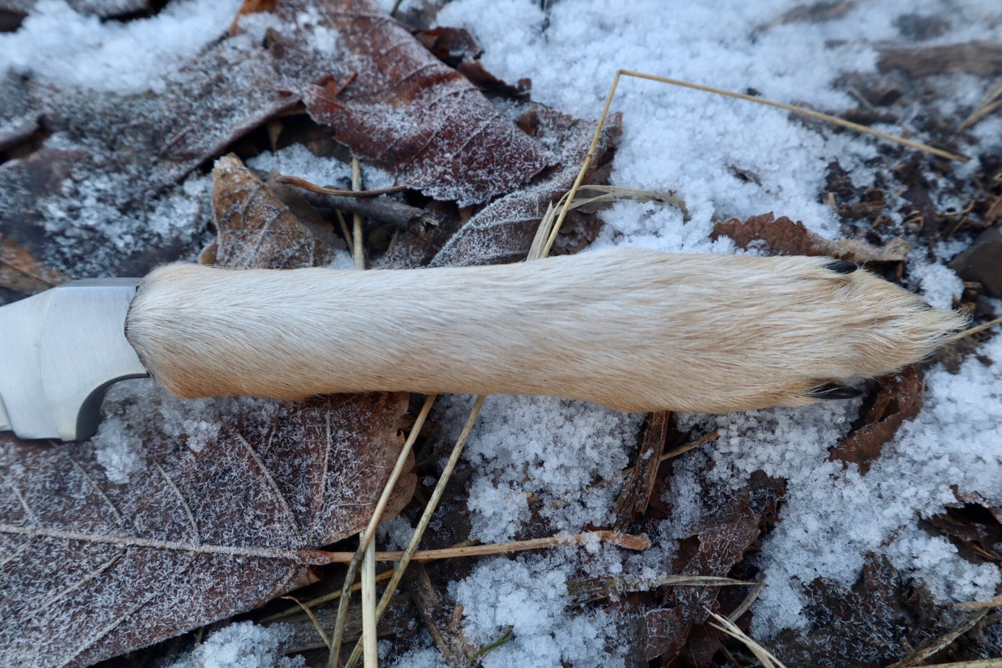 Coyote Paw Knife