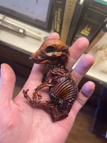 Reserved for Destiny - Dry Preserved Fetal Piglet
