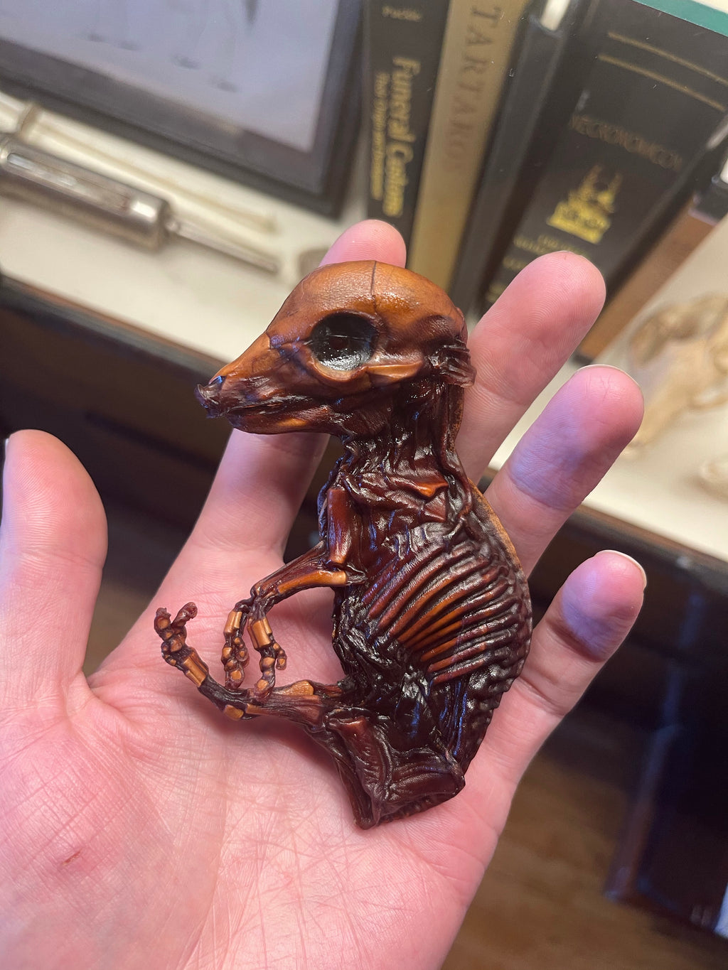 Reserved for Destiny - Dry Preserved Fetal Piglet