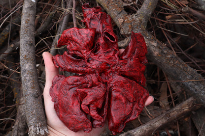 Dry Preserved Gray Wolf Lungs