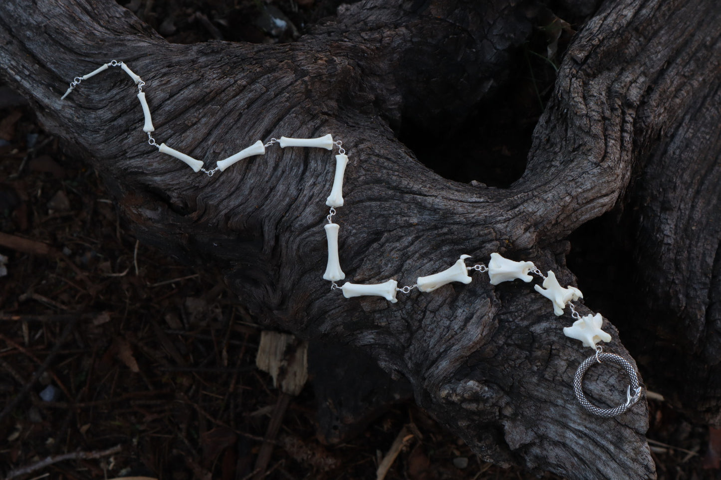 Fluid Coyote Tail Articulation with Ouroboros Ring