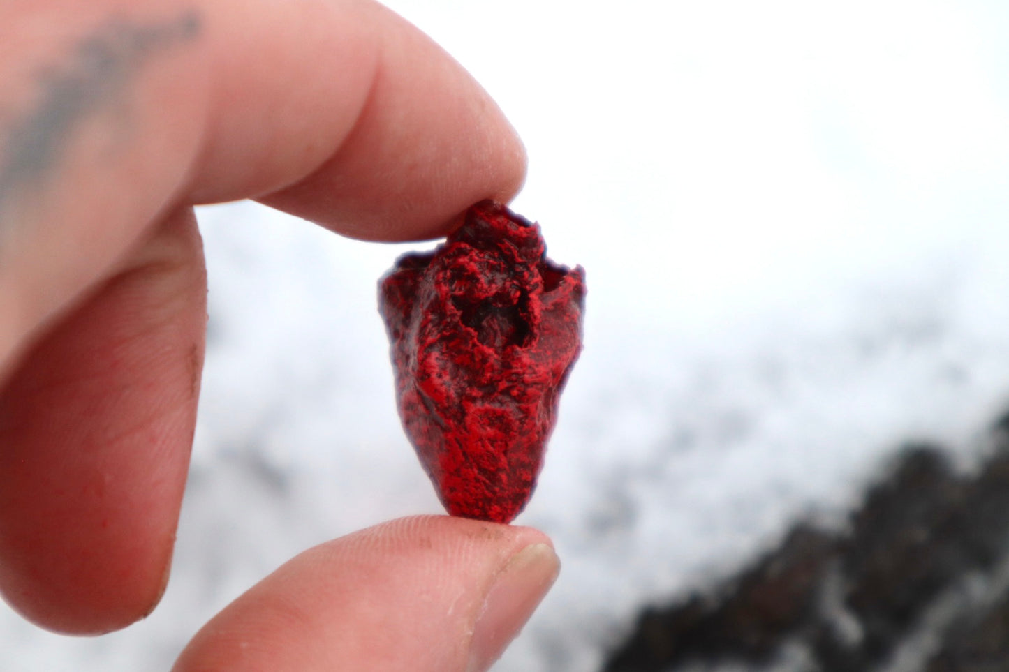 Dry Preserved Chicken Heart