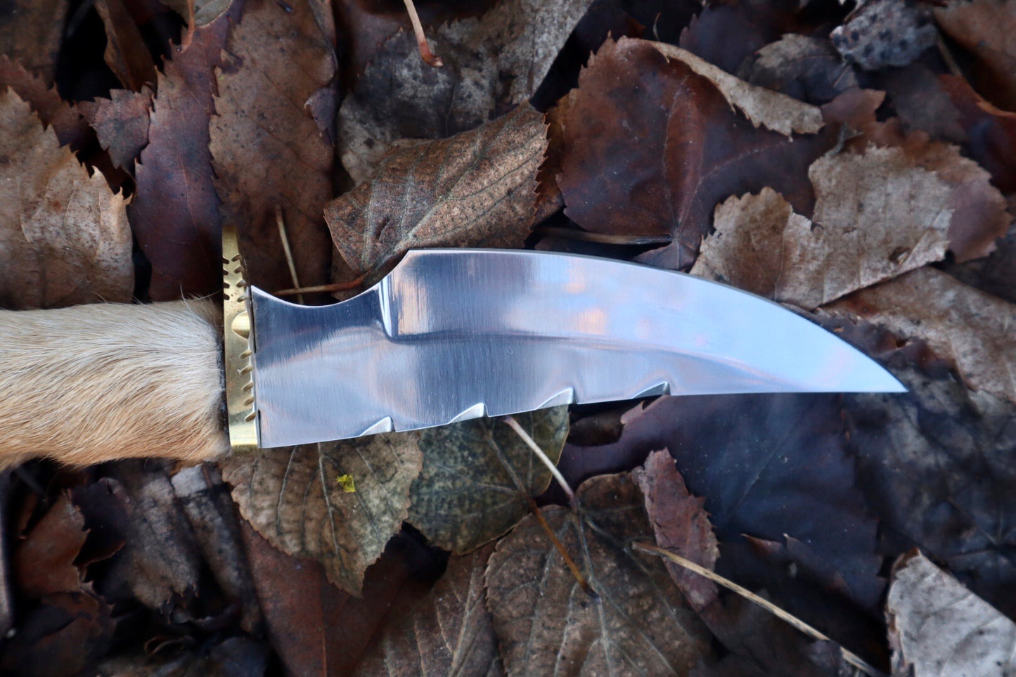 Coyote Paw Knife