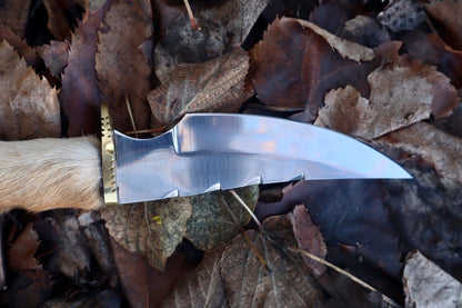 Coyote Paw Knife