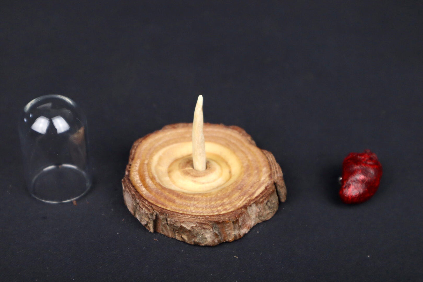 Dry Preserved Pigeon Heart in Glass Dome