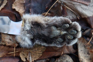 Bobcat Paw Knife