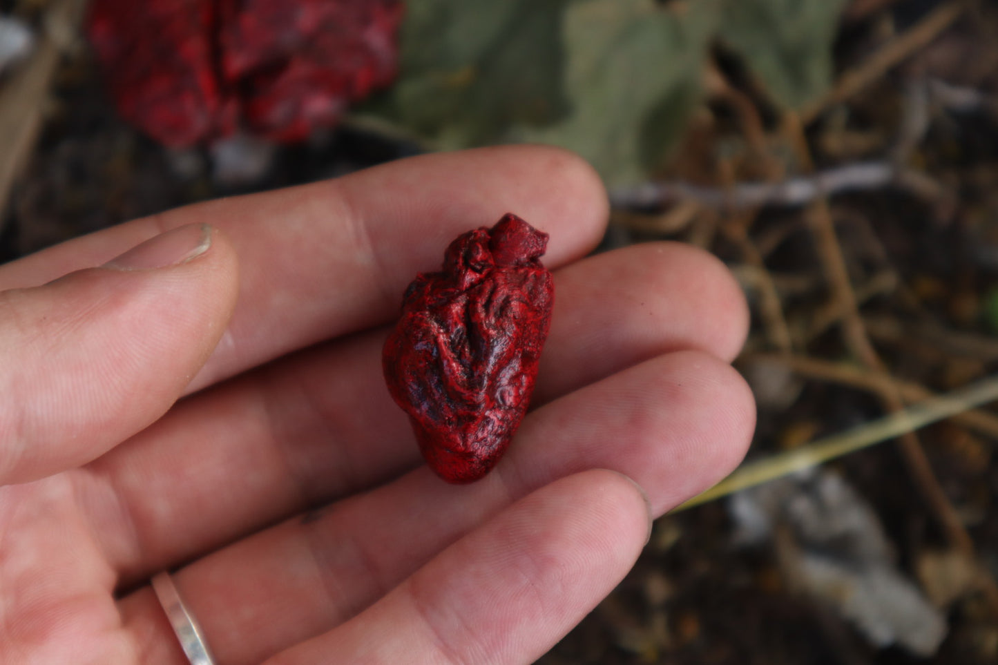 Reserved for Brandon - Dry Preserved Raccoon and Baby Rabbit Heart and Lungs