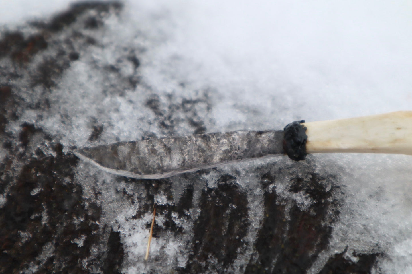 Reserved for Antoinette - Kitten Tibia Knife