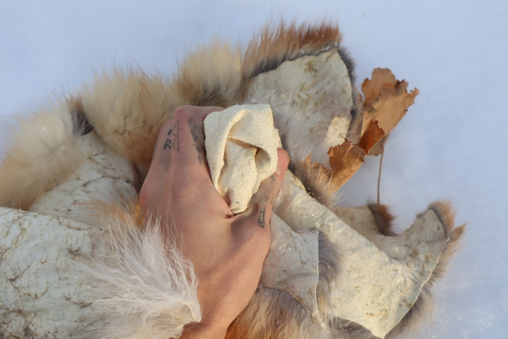 Red Fox Pelt - Altar Cut