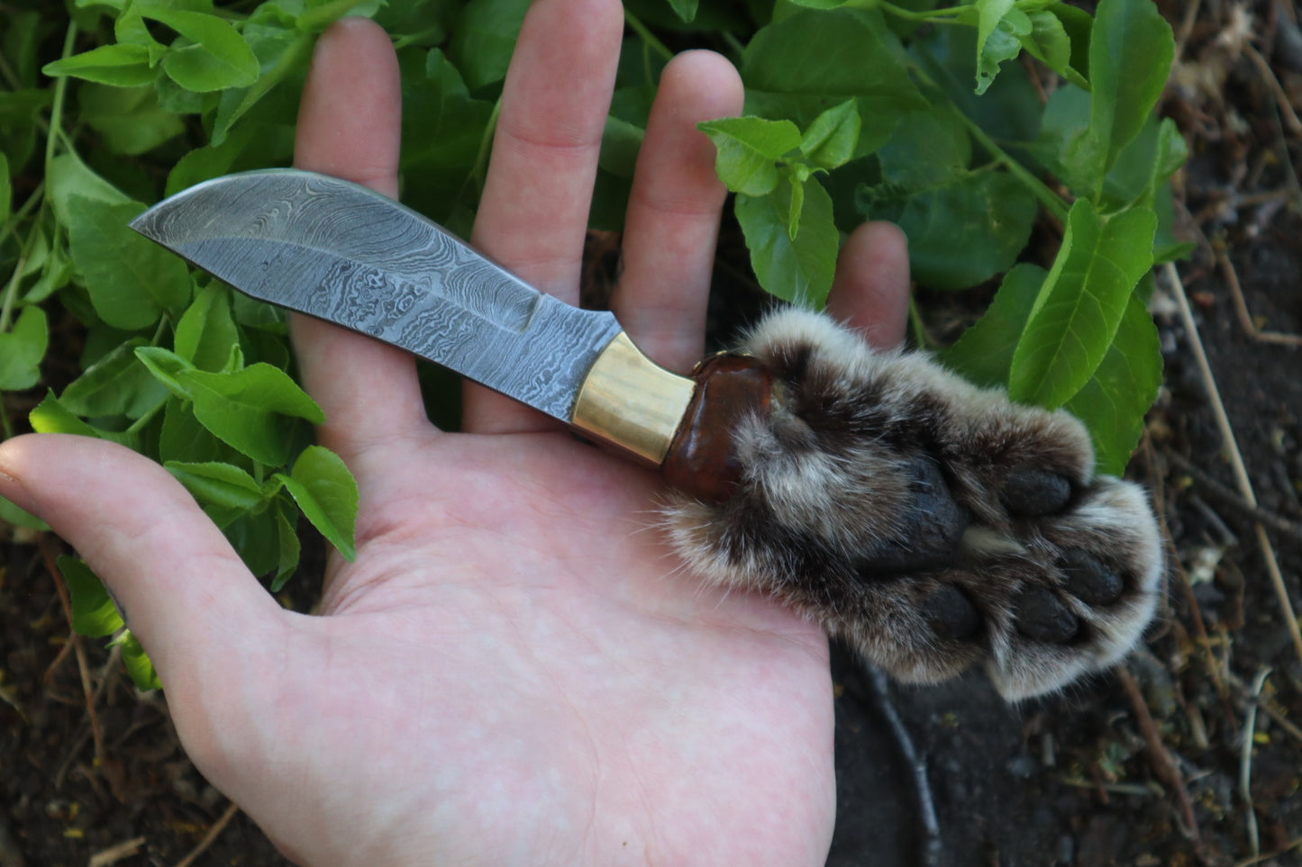 Reserved for Ryan Conner - Custom Damascus Bobcat Paw Knife with Leather Sheath