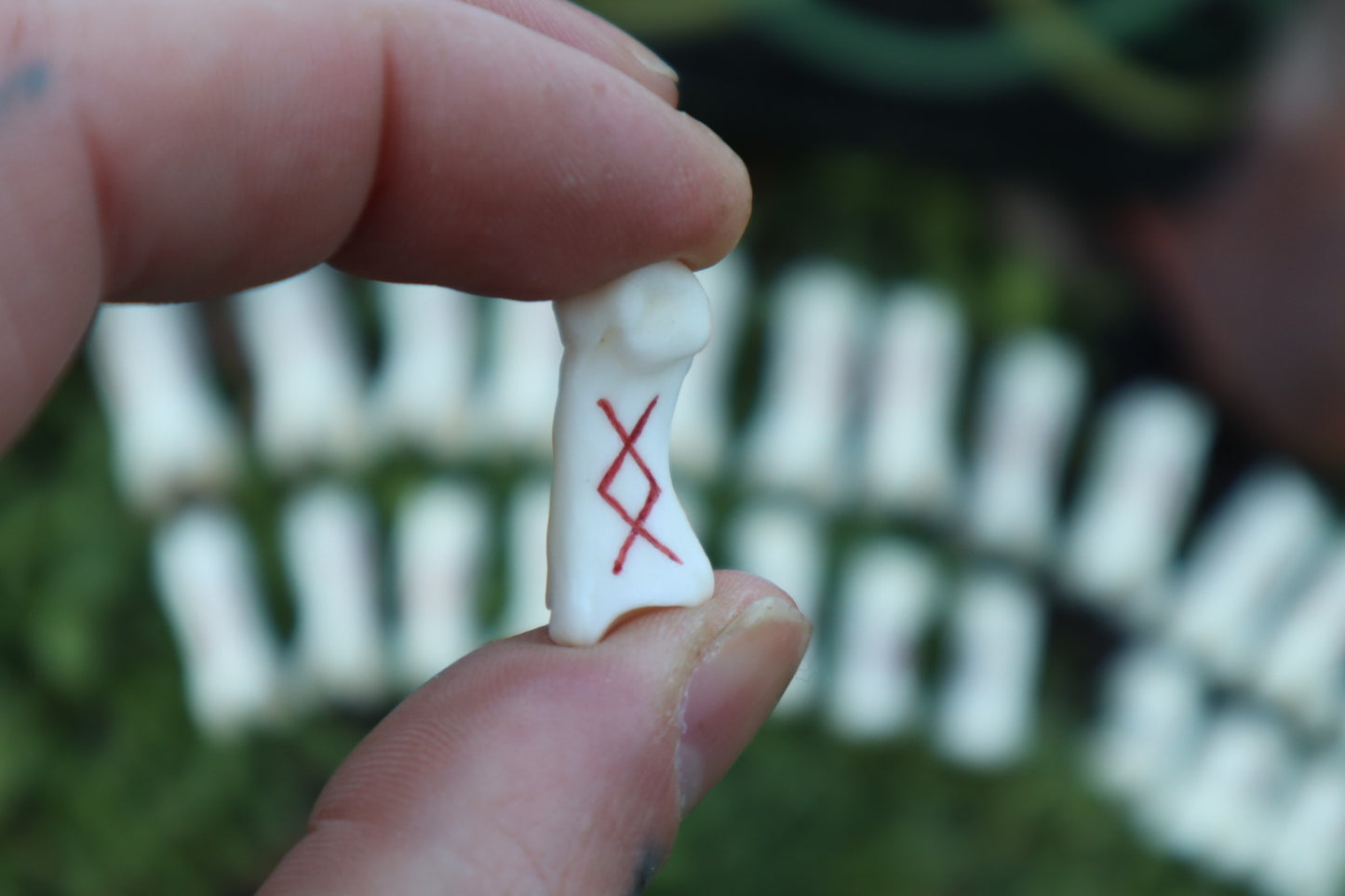 Reserved for Molly - Mountain Lion Bone Elder Futhark Rune Set