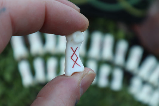 Reserved for Molly - Mountain Lion Bone Elder Futhark Rune Set