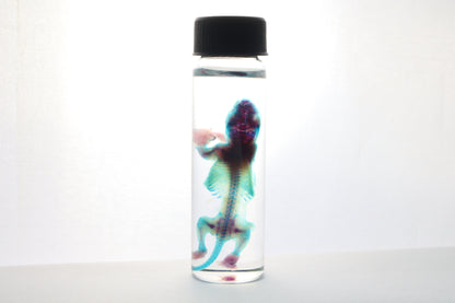 Reserved for Gabi - Diaphonized Baby Mouse