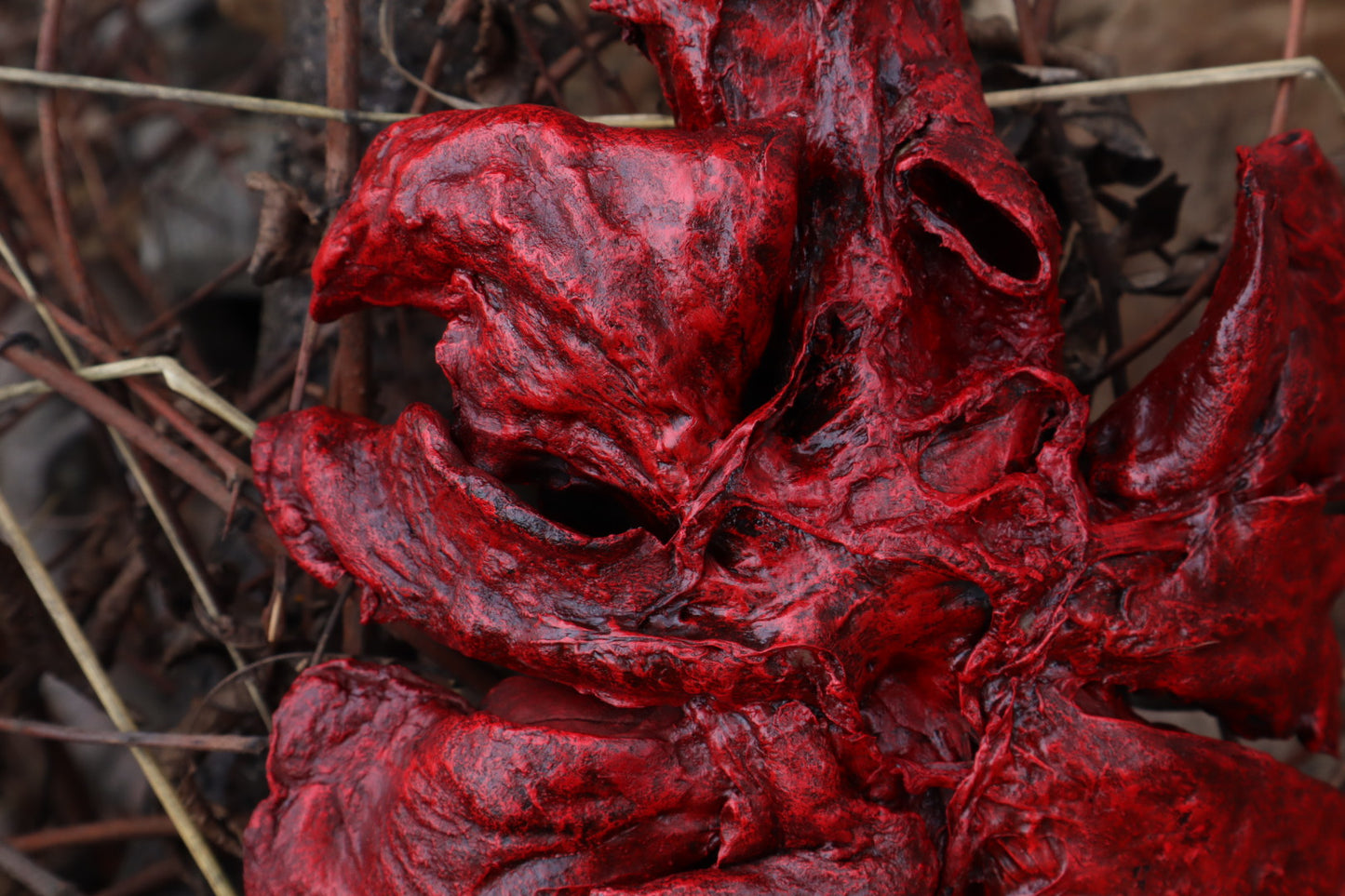 Dry Preserved Gray Wolf Lungs