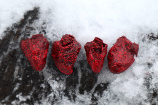 Dry Preserved Chicken Heart