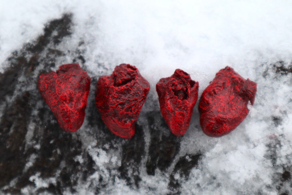 Dry Preserved Chicken Heart