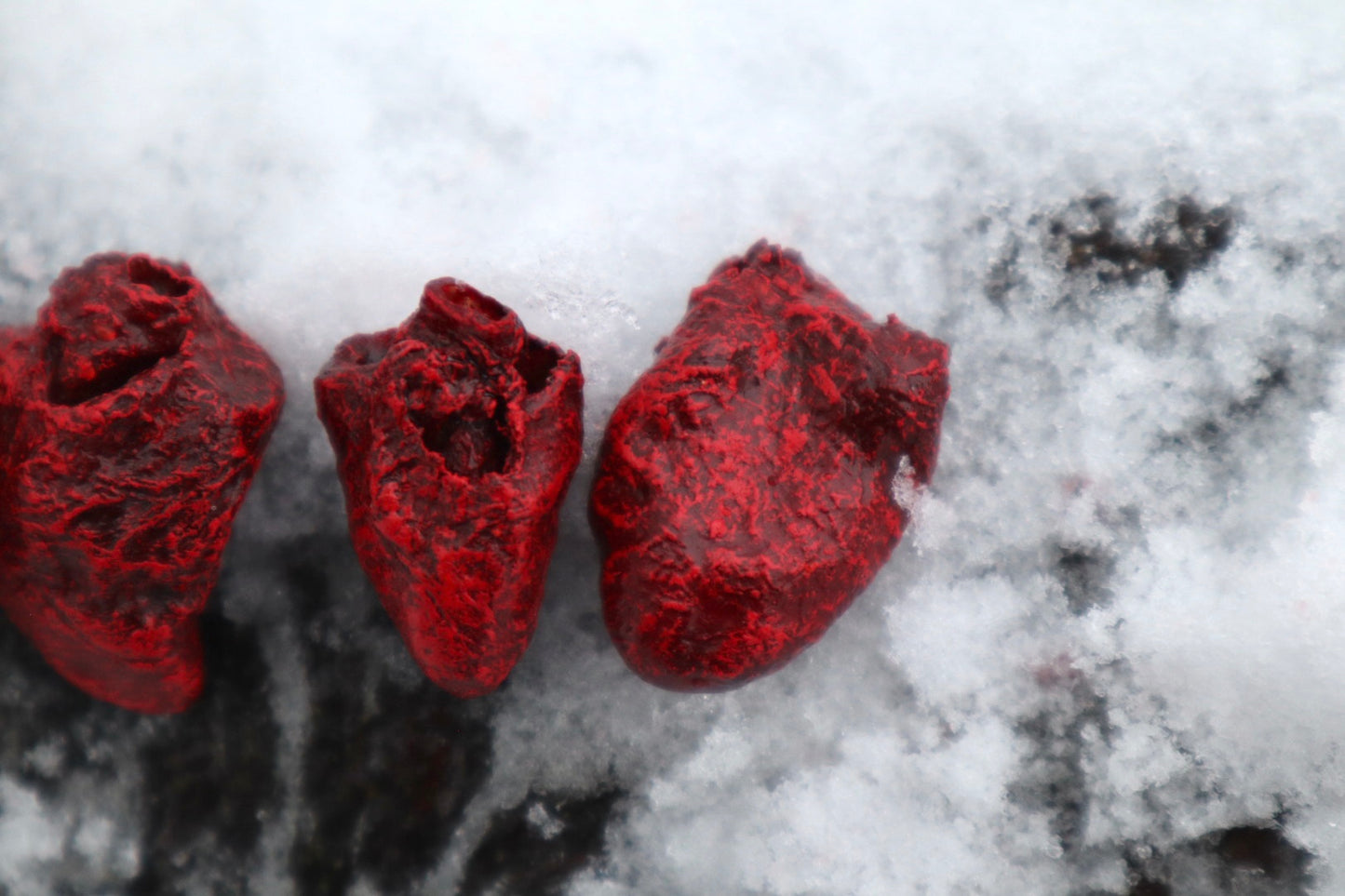 Dry Preserved Chicken Heart