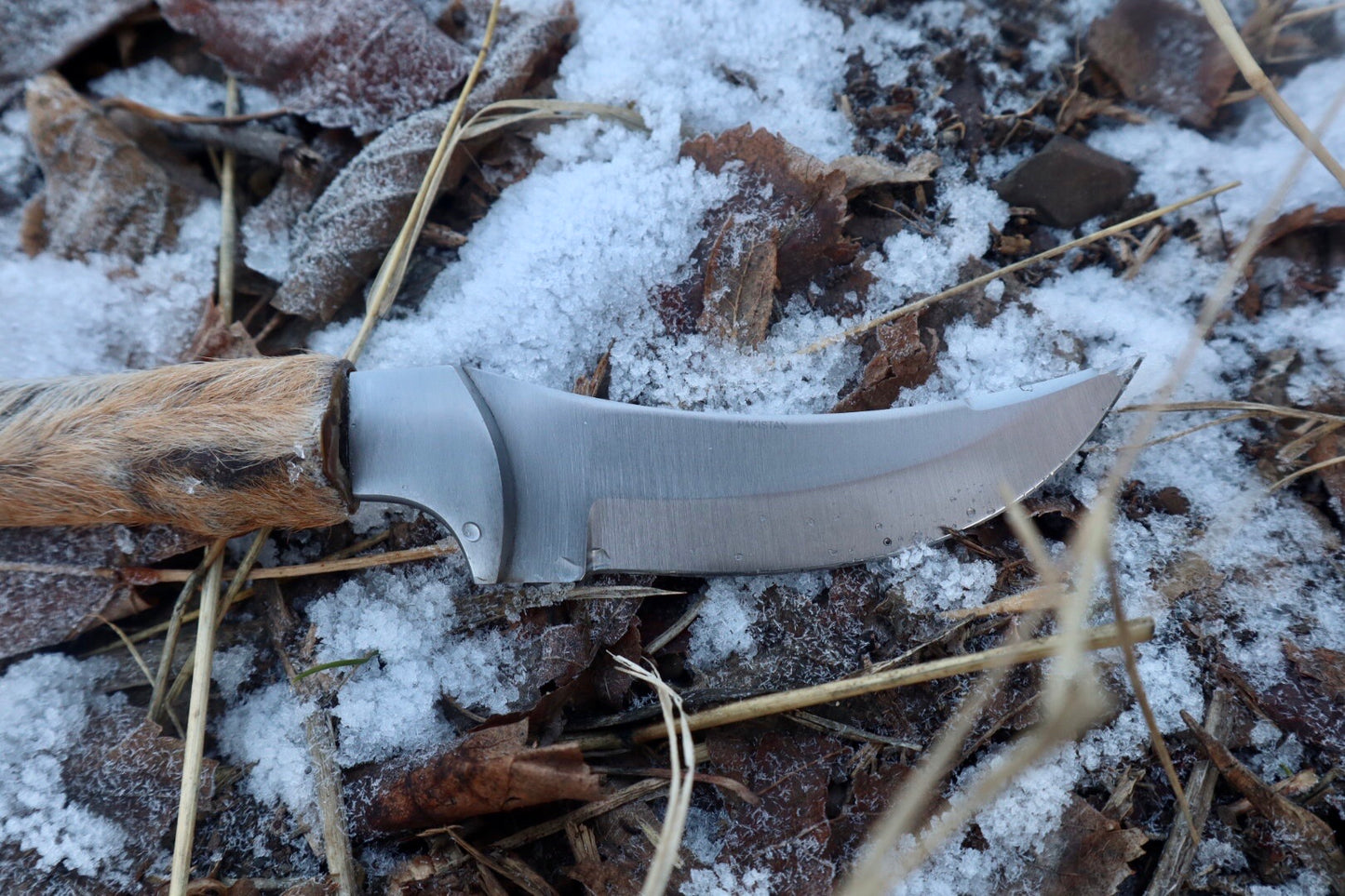 Coyote Paw Knife